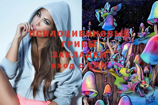 apvp Алексеевка